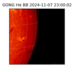 gong - 2024-11-07T23:00:02
