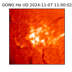 gong - 2024-11-07T11:00:02