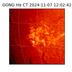gong - 2024-11-07T12:02:42