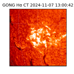 gong - 2024-11-07T13:00:42