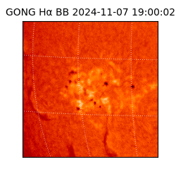 gong - 2024-11-07T19:00:02