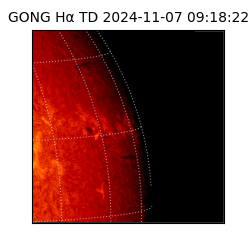 gong - 2024-11-07T09:18:22