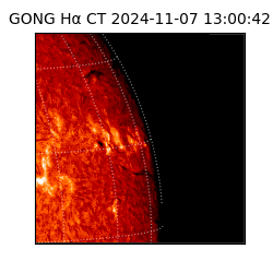 gong - 2024-11-07T13:00:42