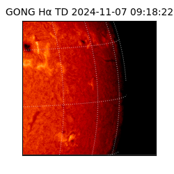 gong - 2024-11-07T09:18:22