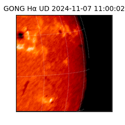 gong - 2024-11-07T11:00:02