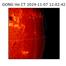 gong - 2024-11-07T12:02:42