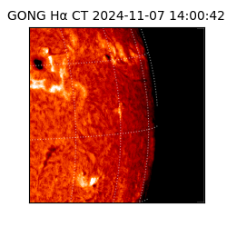 gong - 2024-11-07T14:00:42