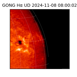 gong - 2024-11-08T08:00:02