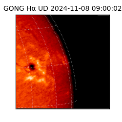 gong - 2024-11-08T09:00:02