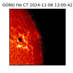 gong - 2024-11-08T13:00:42