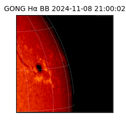 gong - 2024-11-08T21:00:02