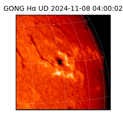 gong - 2024-11-08T04:00:02