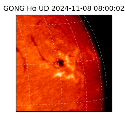 gong - 2024-11-08T08:00:02