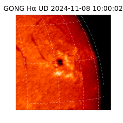gong - 2024-11-08T10:00:02