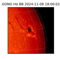 gong - 2024-11-08T18:00:02