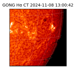 gong - 2024-11-08T13:00:42
