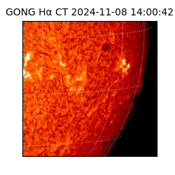 gong - 2024-11-08T14:00:42
