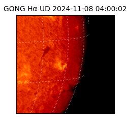 gong - 2024-11-08T04:00:02