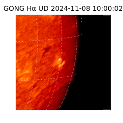 gong - 2024-11-08T10:00:02