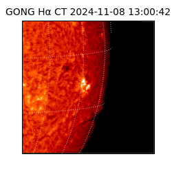 gong - 2024-11-08T13:00:42