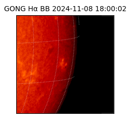 gong - 2024-11-08T18:00:02