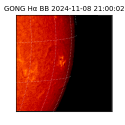 gong - 2024-11-08T21:00:02