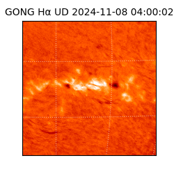gong - 2024-11-08T04:00:02