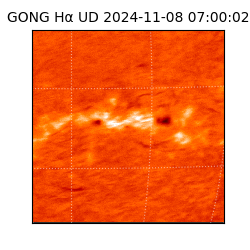 gong - 2024-11-08T07:00:02