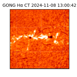 gong - 2024-11-08T13:00:42