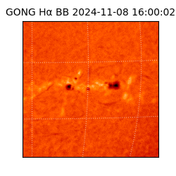 gong - 2024-11-08T16:00:02