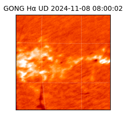 gong - 2024-11-08T08:00:02