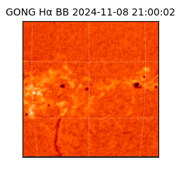 gong - 2024-11-08T21:00:02