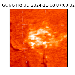 gong - 2024-11-08T07:00:02