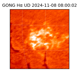 gong - 2024-11-08T08:00:02