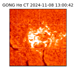 gong - 2024-11-08T13:00:42