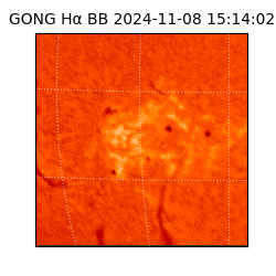 gong - 2024-11-08T15:14:02