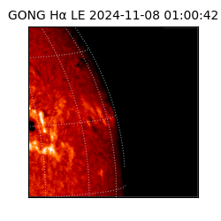 gong - 2024-11-08T01:00:42