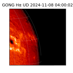 gong - 2024-11-08T04:00:02