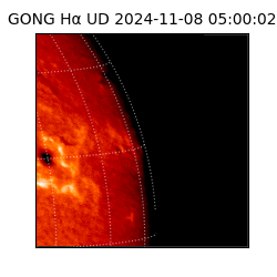 gong - 2024-11-08T05:00:02