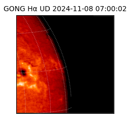gong - 2024-11-08T07:00:02