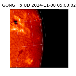 gong - 2024-11-08T05:00:02