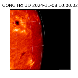 gong - 2024-11-08T10:00:02
