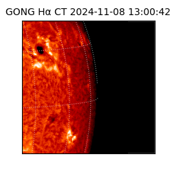 gong - 2024-11-08T13:00:42