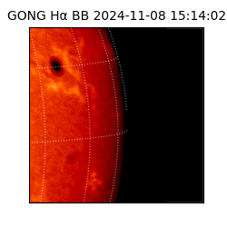 gong - 2024-11-08T15:14:02