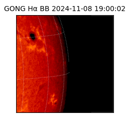 gong - 2024-11-08T19:00:02