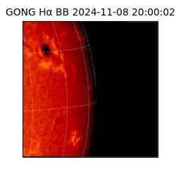 gong - 2024-11-08T20:00:02