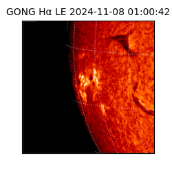 gong - 2024-11-08T01:00:42