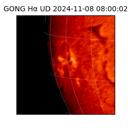 gong - 2024-11-08T08:00:02
