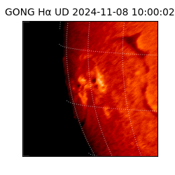 gong - 2024-11-08T10:00:02