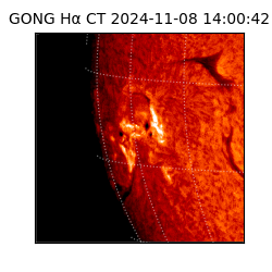 gong - 2024-11-08T14:00:42